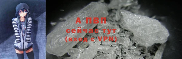 ECSTASY Волоколамск