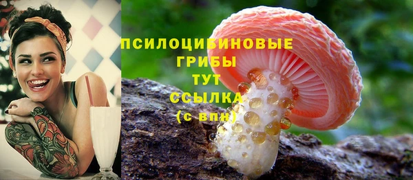 ECSTASY Волоколамск