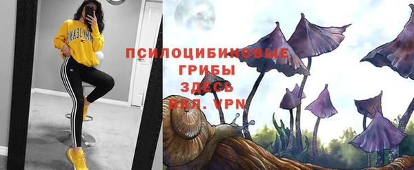 Альфа ПВП Володарск