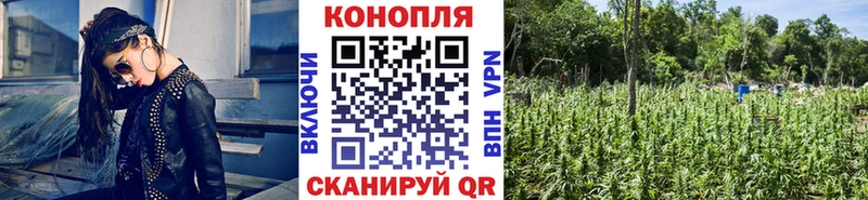Шишки марихуана план Певек